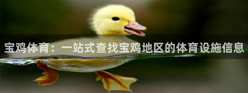 意昂5(KGAME)体育招商电话是多少：宝鸡体育：一站式查找 