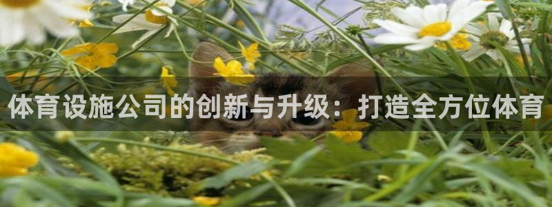 意昂平台体育：体育设施公司的创新与升级：打造全方位体育
